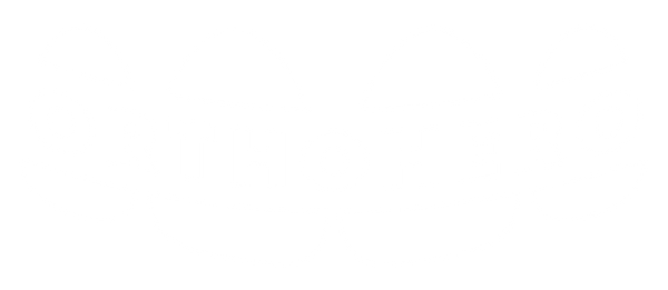 ORTHOHERO